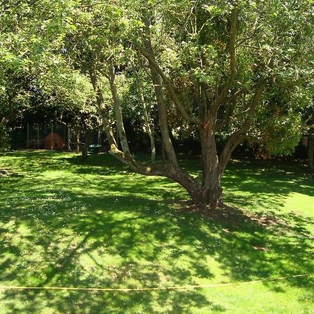 Shrivenham ザ ホワイト ホース ビュー B ＆ B Bed & Breakfast エクステリア 写真